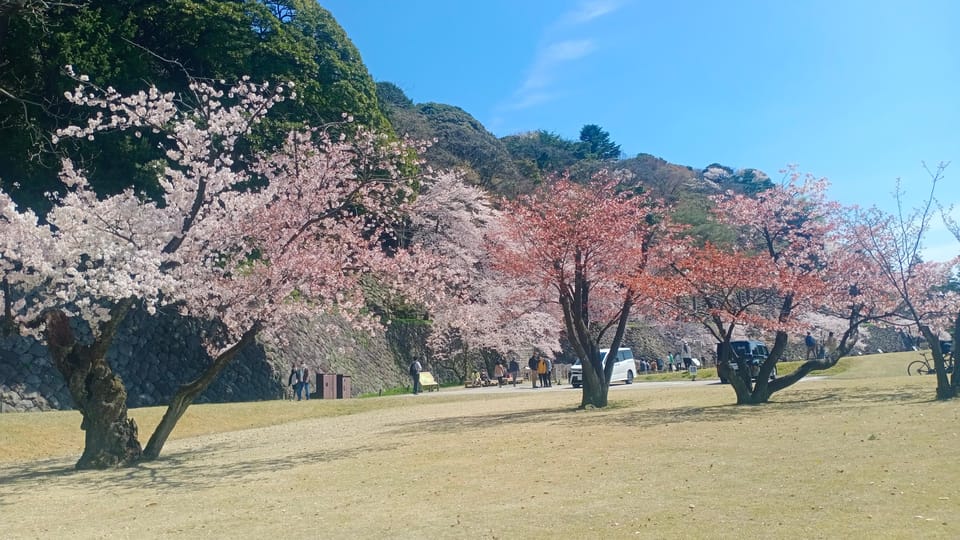 Explore Kanazawa in Three Hours Review - Key Points