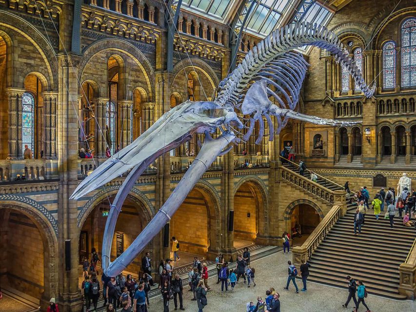 Exploring Londons Natural Marvels: Museum Adventure - Key Points