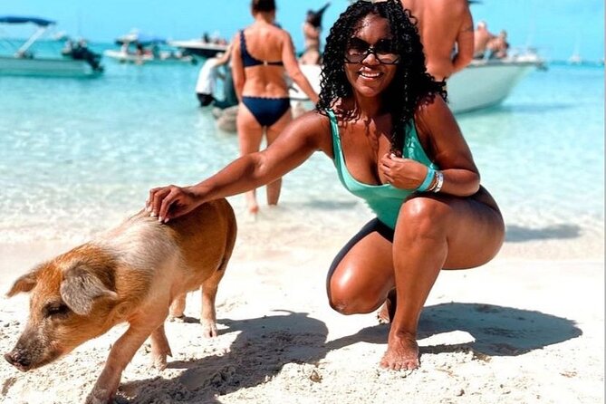 Exuma Powerboat Tour From Nassau With Swimming Pigs - Key Points