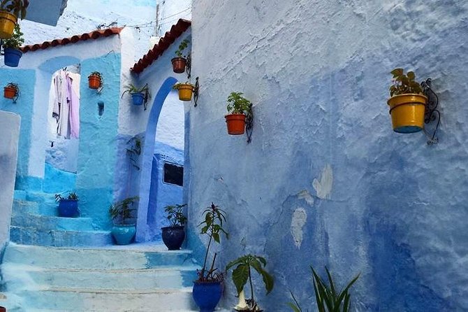 Facinating Chefchaouen Day Trip From Fes - Key Points