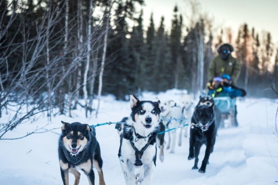 Fairbanks: Mush on the Historic Yukon Quest Trail - Key Points