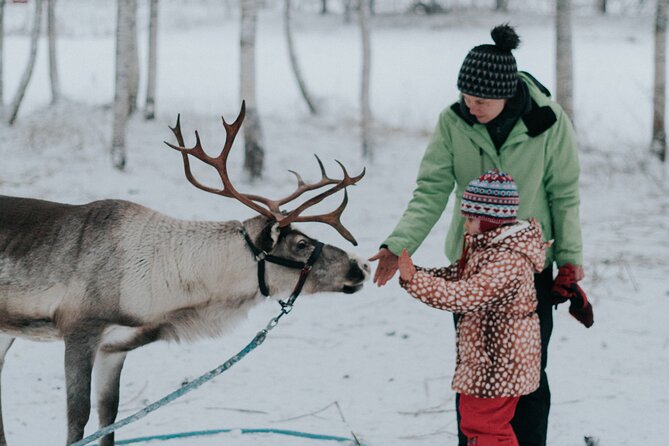 Family Day: Reindeer, Husky and Snowmobiling in Levi - Key Points