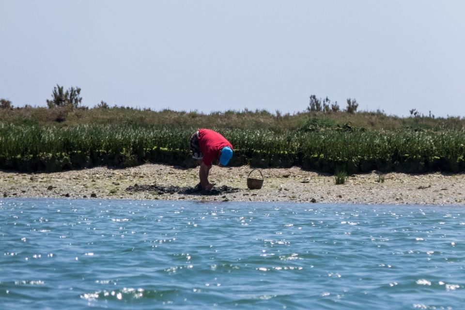 Faro: Kayak Hire in Ria Formosa Natural Park - Key Points