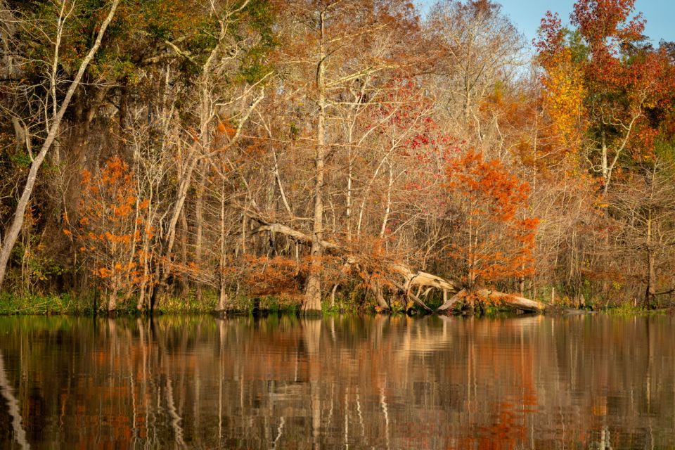 Florida: Big Cypress National Preserve Driving Audio Tour - Key Points