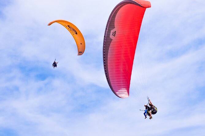 FlyTenerife Paragliding Flight - Key Points