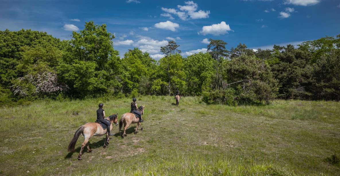 Fontainebleau: Horse-riding, Gastronomy & Château - Key Points