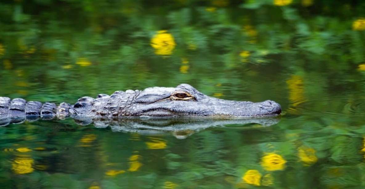 Fort Lauderdale: Everglades Express Tour With Airboat Ride - Key Points