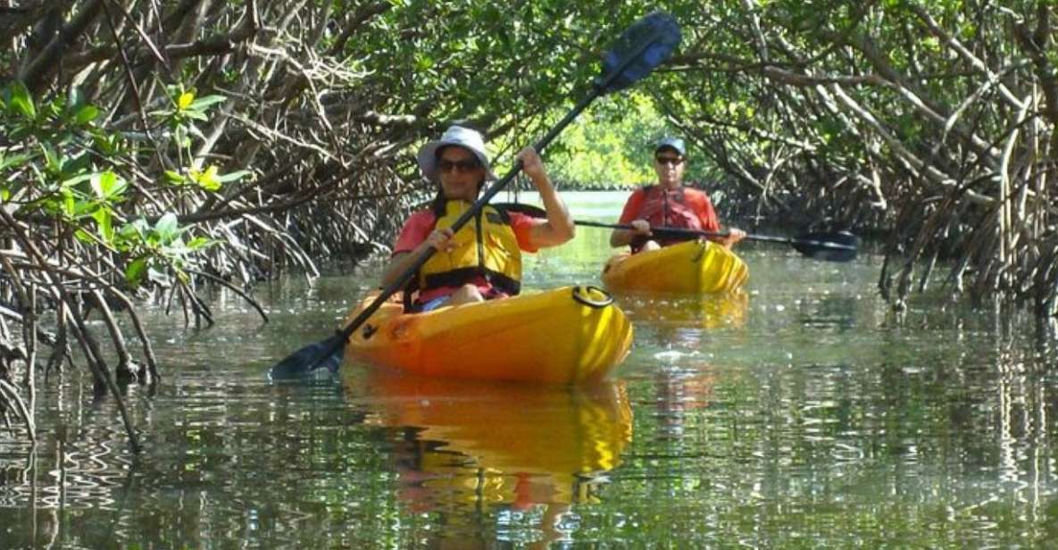 Fort Myers: Guided Kayak or SUP Tour in Pelican Bay - Key Points