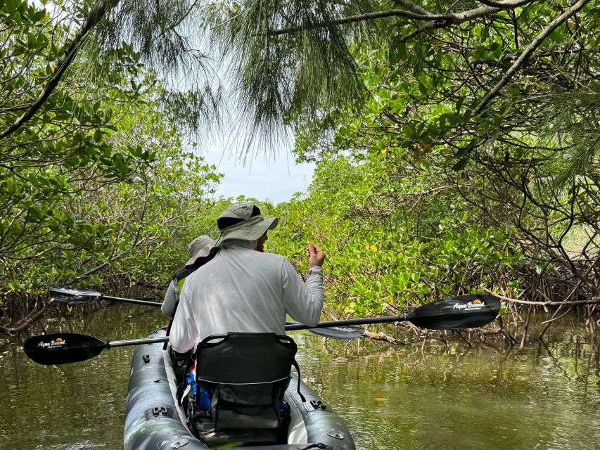 Fort Pierce: 6-hr Mangroves, Coastal Rivers & Wildlife in FL - Key Points