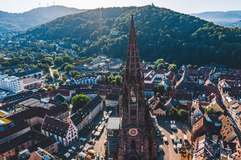 Freiburg: I Came, I Saw, I Drank Wine Wine Hike And Tasting Inclusions And What To Expect