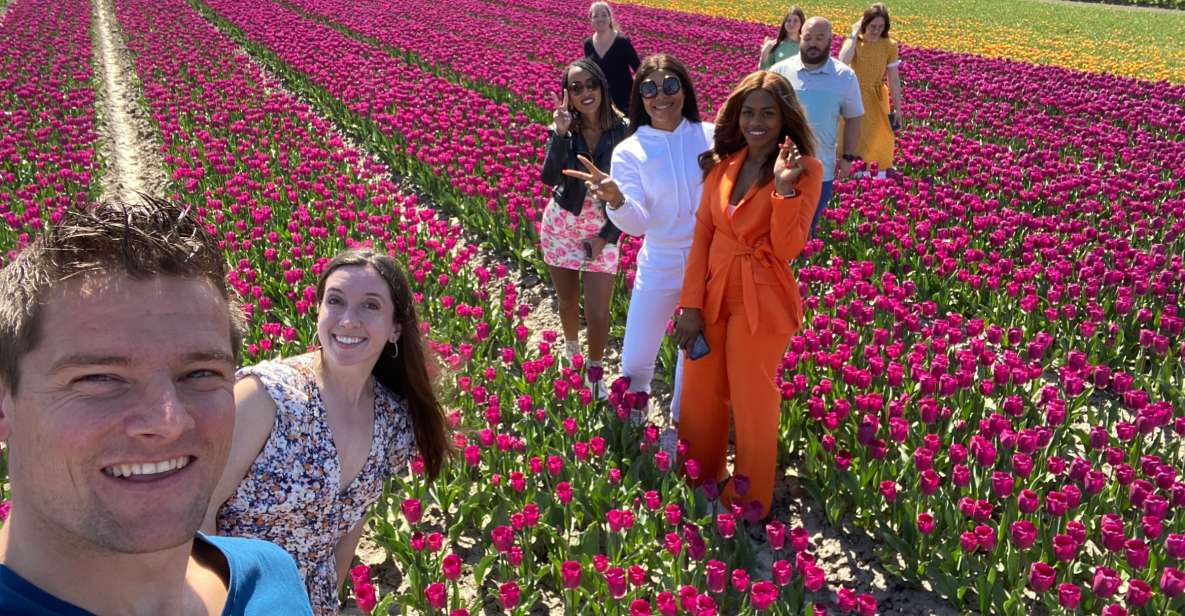 From Amsterdam: Tulip Fields & Windmill Day Trip With Lunch - Key Points