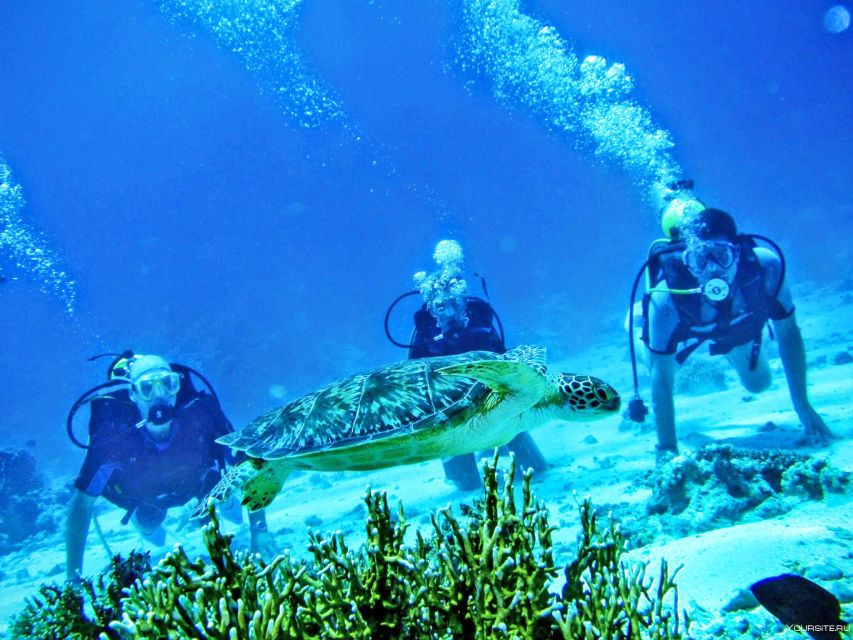 From Antalya| Kemer: Diving Tour With Experienced Instructor - Key Points