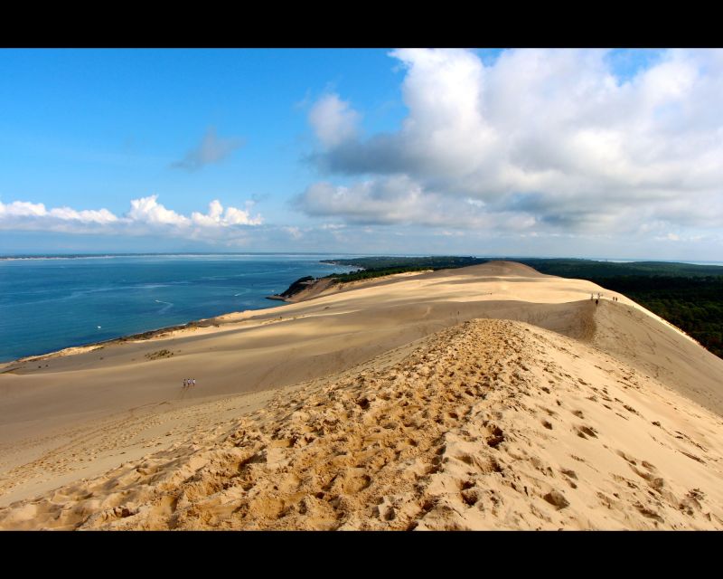 From Bordeaux: Arcachon Bay Afternoon and Seafood - Key Points