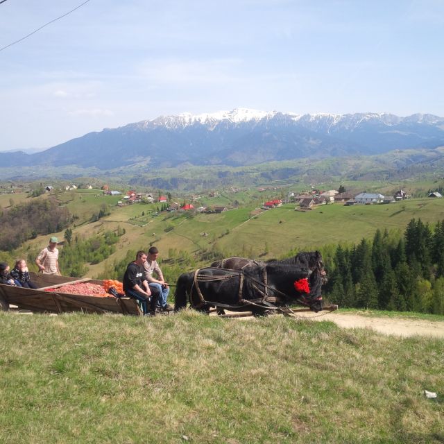 From Brașov: Half or Full Day Transylvania Jeep Tour - Key Points