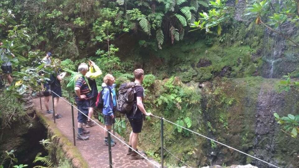 From Caniço/Funchal: Levada Caldeirão Verde Hiking Trip - Key Points