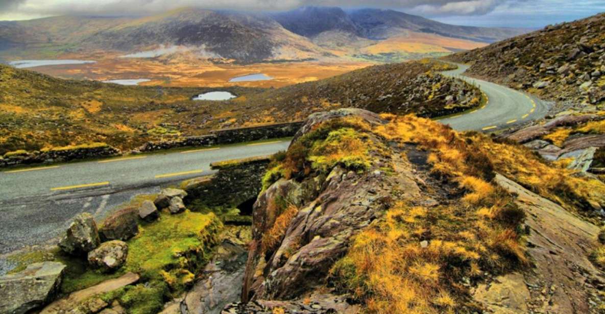 From Cork: 9-Hour Guided Ring of Kerry and Killarney Tour - Key Points