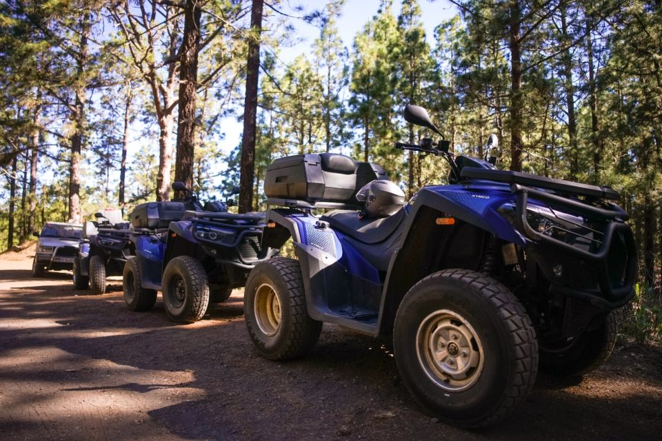 From Costa Adeje: Mount Teide Forest Off-Road Quad Bike Tour - Key Points