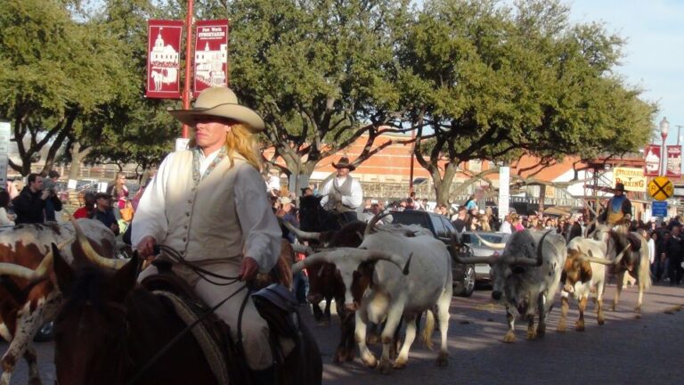 From Dallas: Fort Worth Guided Day Tour Key Points