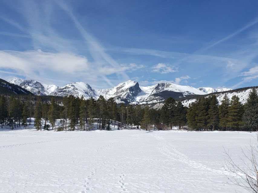 From Denver: Rocky Mountain National Park Fall/Winter Tour - Key Points