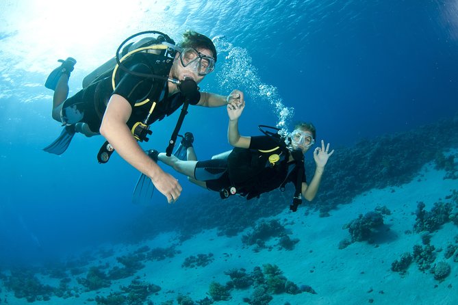 From Dubai: Discovery Scuba Diving Trip in Fujairah - Key Points