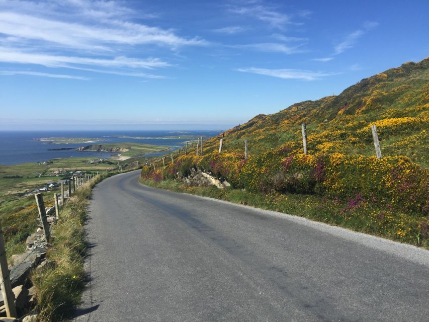 From Dublin: Connemara and Galway Bay Day Tour - Key Points