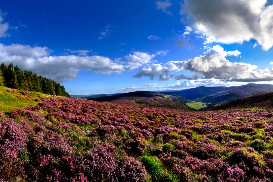 From Dublin: Wicklow Mountains, Glendalough, & Kilkenny Tour - Key Points