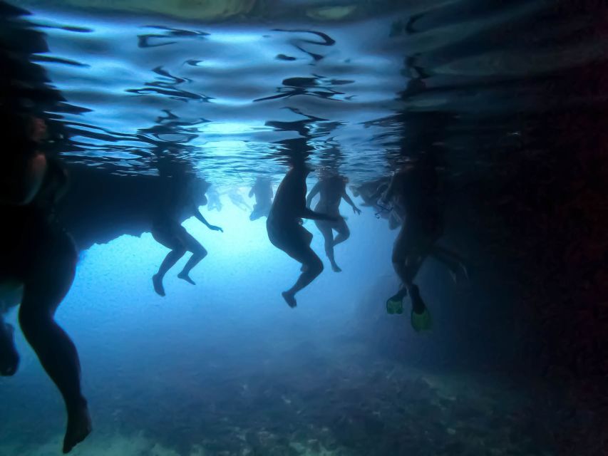 From Dubrovnik/Cavtat: Blue Cave, Sunj Beach Speed Boat Tour - Key Points