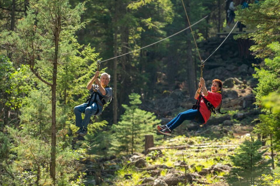 From Durango: Narrow Gauge Railroad & Ziplining With Dining - Key Points