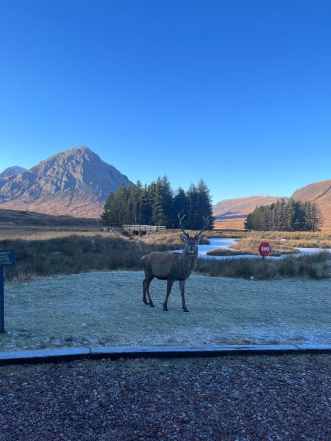 From Edinburgh: The Kelpies, Glencoe & Loch Lomond Day Tour - Key Points