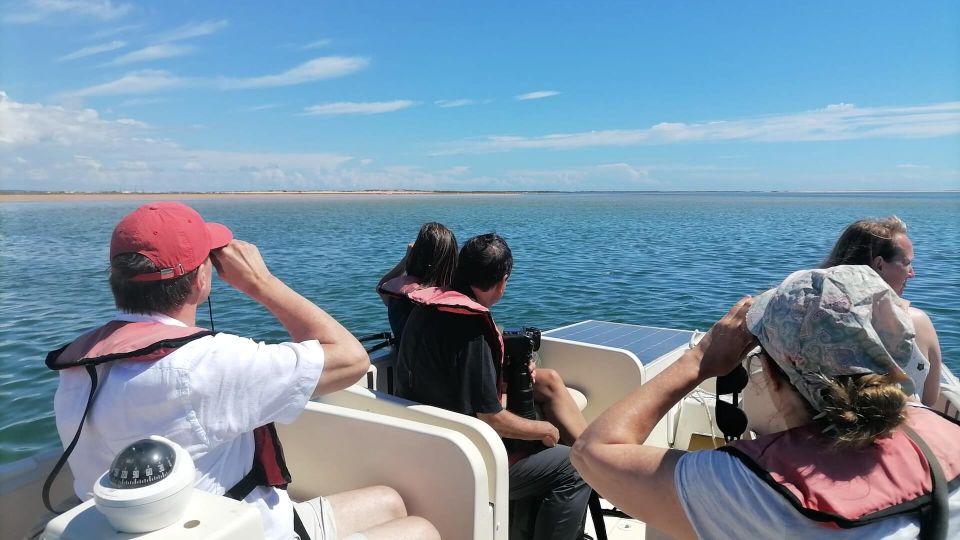 From Faro: Ria Formosa Eco-friendly Solar Boat Tour - Key Points