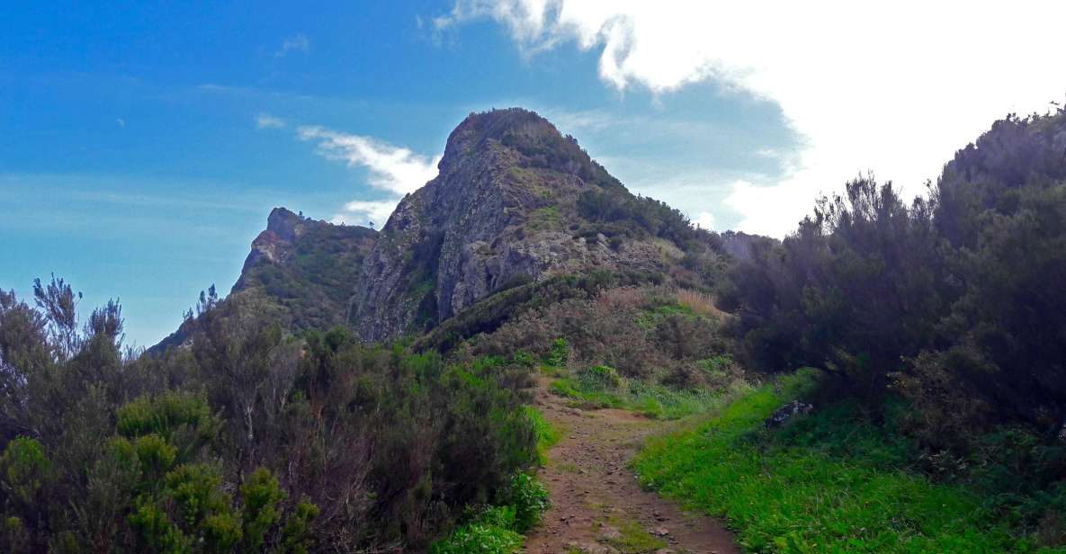 From Funchal: Machico to Porto Da Cruz Hike - Key Points