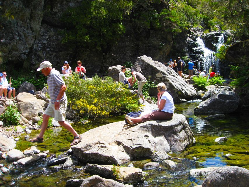 From Funchal: Madeira Lakes Levada Guided Hike - Key Points