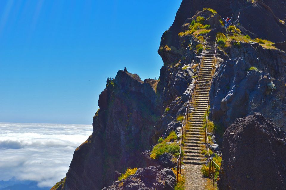 From Funchal: Madeira Peaks Mountain Walk - Key Points