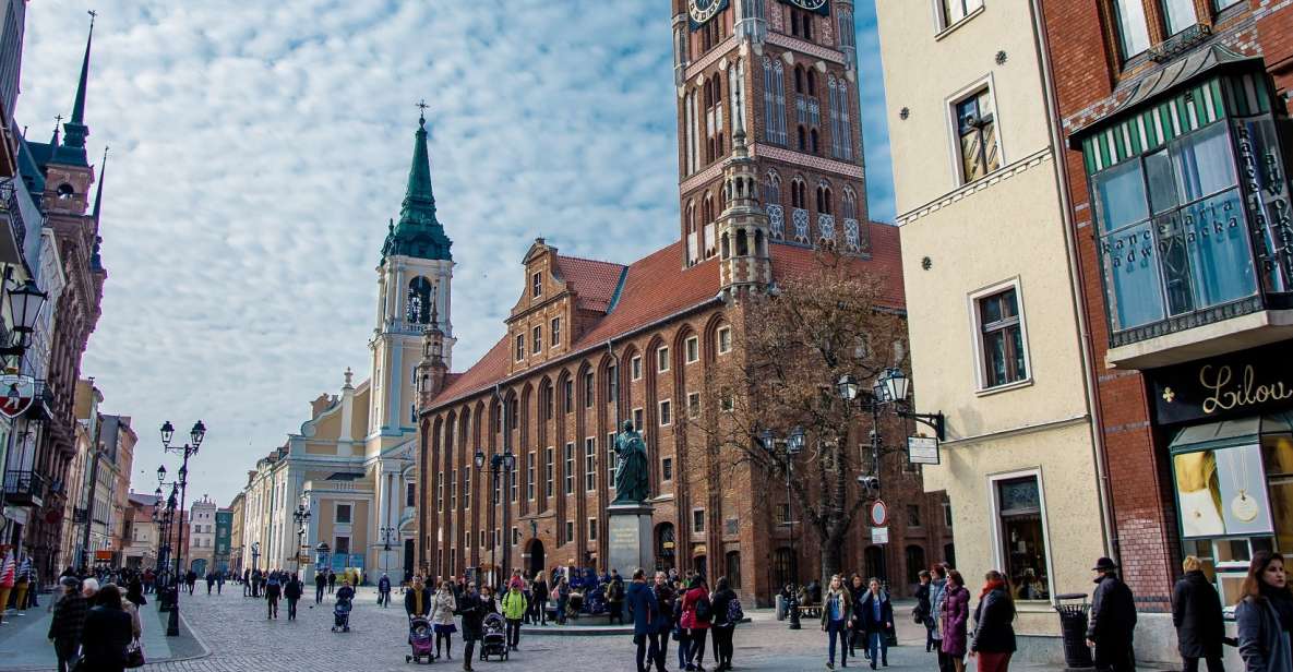 From Gdansk: Private Torun Van and Walking Tour - Key Points