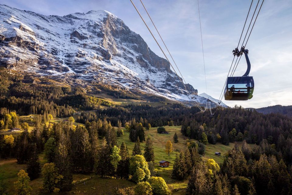 From Grindelwald: Jungfraujoch Round-Trip Railway Ticket - Key Points