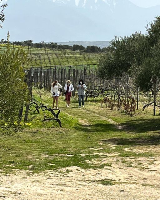 From Heraklion: Wine Tasting Experience at Lyrarakis Winery - Key Points