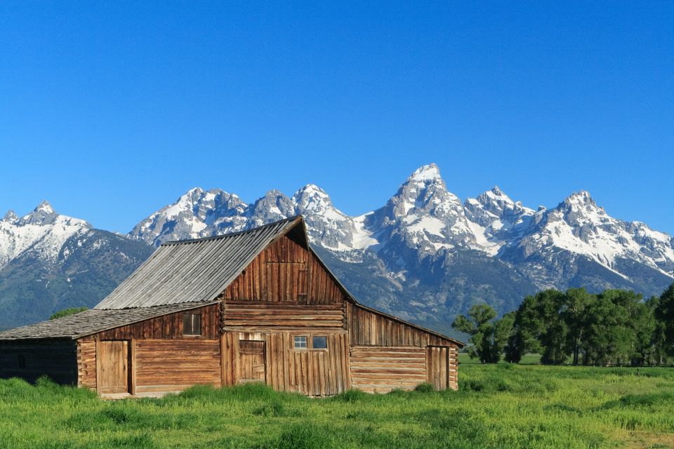 From Jackson Hole: Half-Day Grand Teton Wildlife Tour - Key Points