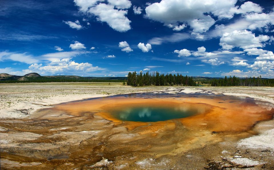 From Jackson: Yellowstone National Park Day Trip With Lunch - Key Points