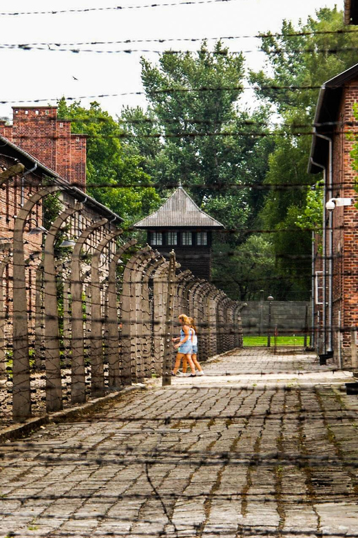 From Krakow: Auschwitz-Birkenau Licensed Tour & Transport - Key Points