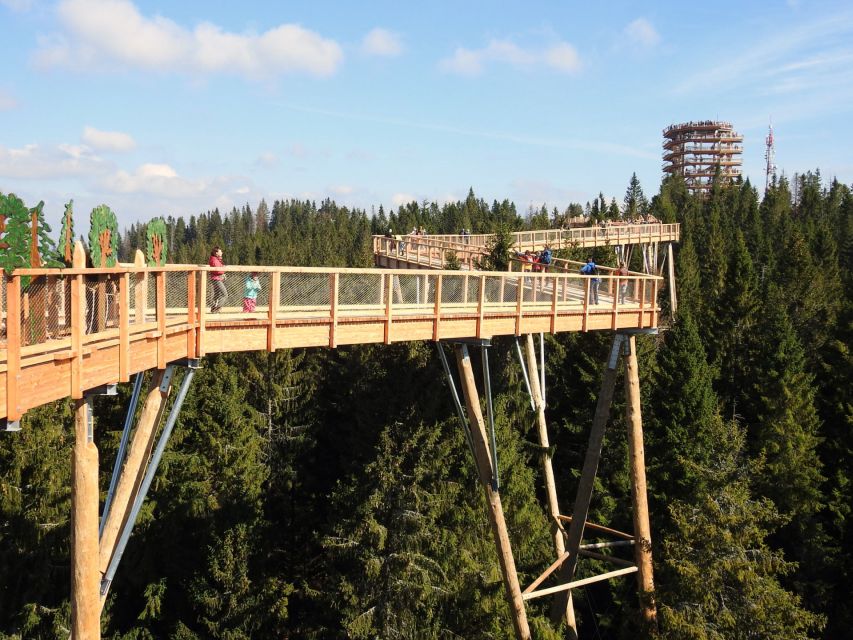 From Kraków: Slovakia Treetop Walk and Thermal Baths - Key Points