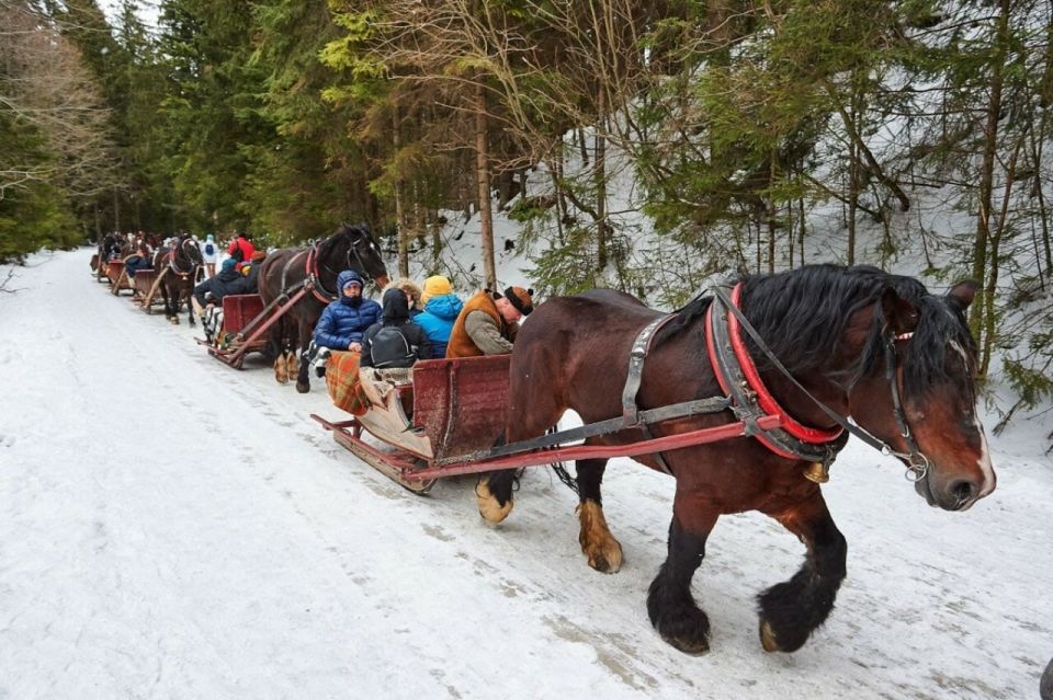 From Krakow: Zakopane, Sleigh Ride & Thermal Baths Tour - Key Points