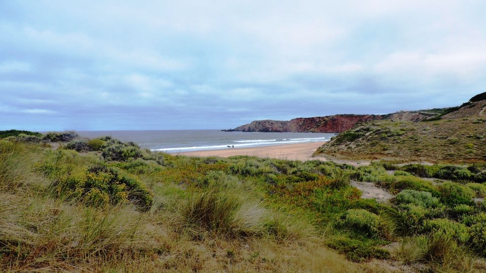 From Lagos: Private Guided Hike Along the Vicentina Coast - Key Points