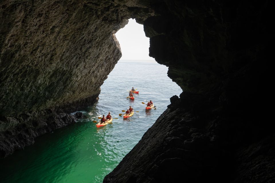 From Lisbon: Arrabida Park Small Group Kayak Tour - Key Points