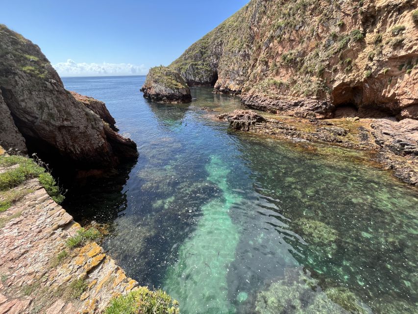 From Lisbon: Berlenga Grande Sightseeing Tour - Key Points