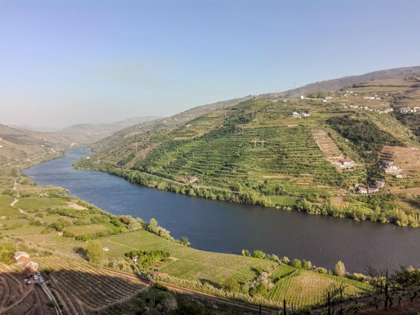 From Lisbon: Discover the Charm of Douro Valley - Key Points