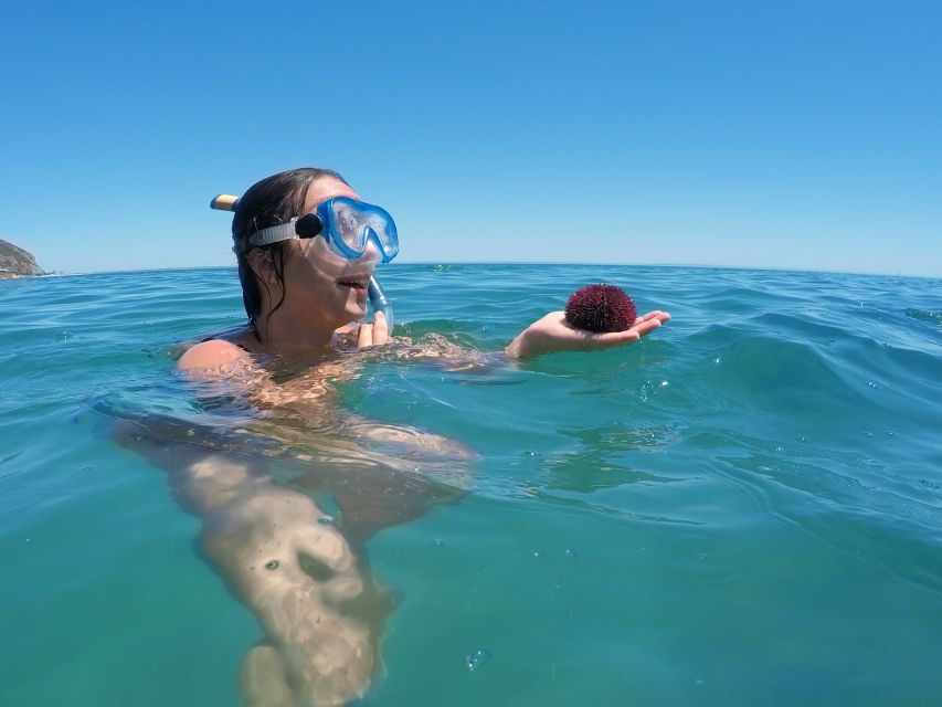 From Lisbon: Nature Park of Arrábida Paddleboarding - Key Points