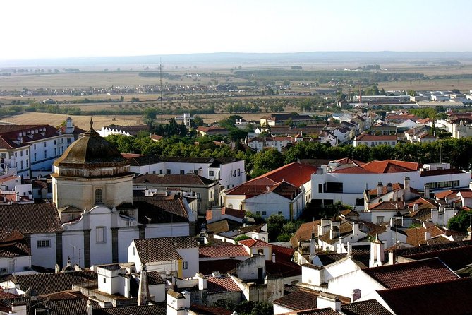 From Lisbon to Alentejo: Évora and Megaliths Full-Day Group Tour - Key Points