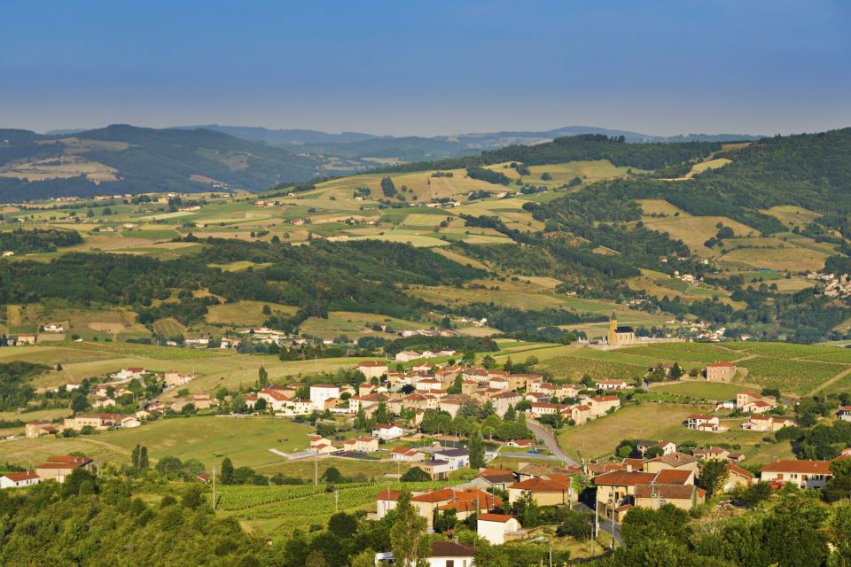 From Lyon: Beaujolais Wine Tasting Day Tour - Key Points