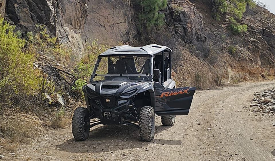 From Maspalomas: Volcanic Landscapes 4-Seater Buggy Tour - Key Points