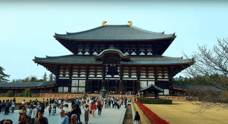 From Osaka/kyoto: Kyoto & Nara Sightseeing Private Day Tour Tour Overview And Pricing